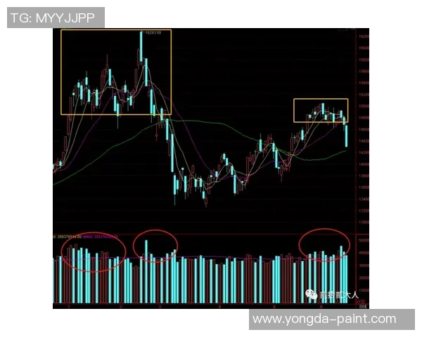 赛后复盘:北京排球队与杭州排球队状态对比分析与未来展望 赛后复盘:北京排球队与杭州排球队状态对比分析与未来展望
