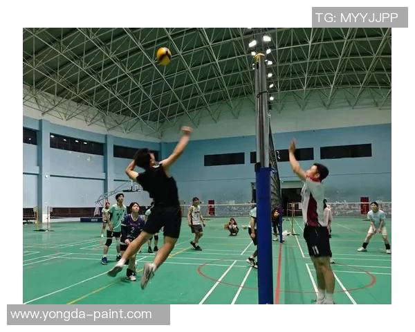 重庆排球队在邀请赛中的灵活性表现分析与点评 重庆排球队在邀请赛中的灵活性表现分析与点评