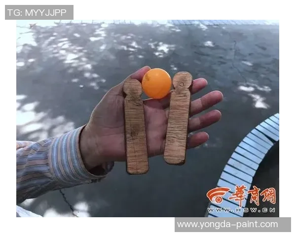 黄静独家揭秘乒乓球技巧与心得分享助你提升球技的秘密之道