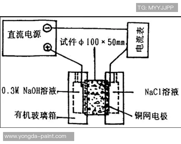 上海乒乓球队边路渗透战术分析及其对比赛结果的影响探讨